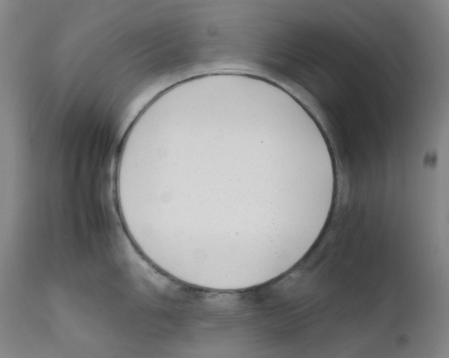 X0000111851006200909031723