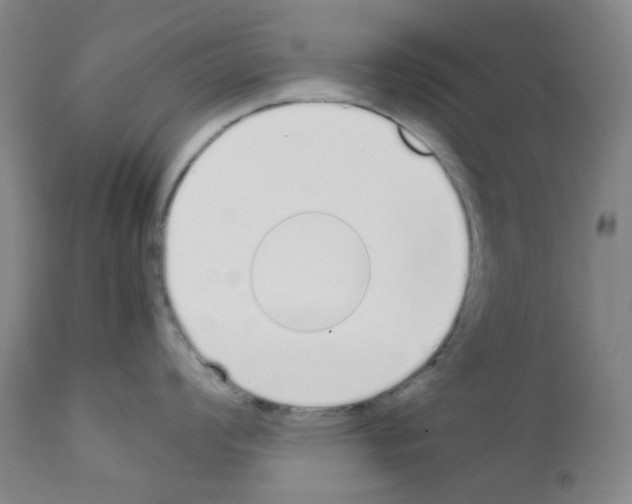 X0000111851008200909031723