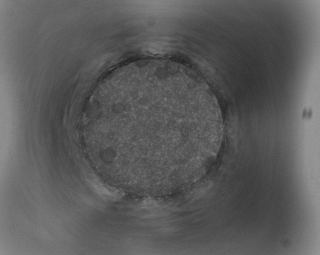 X0000111851009200909031722
