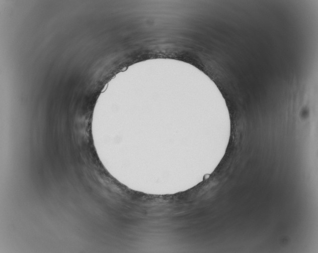 X0000111851010200909031722