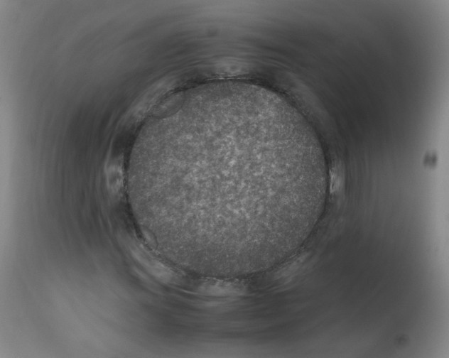 X0000111851011200909031722