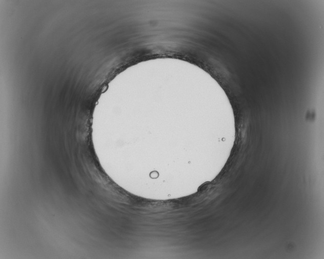X0000111851012200909031722