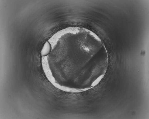 X0000111851013200909031722