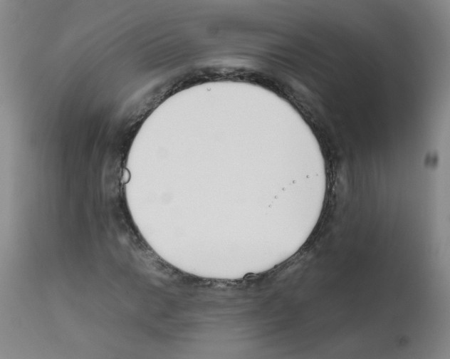X0000111851014200909031722