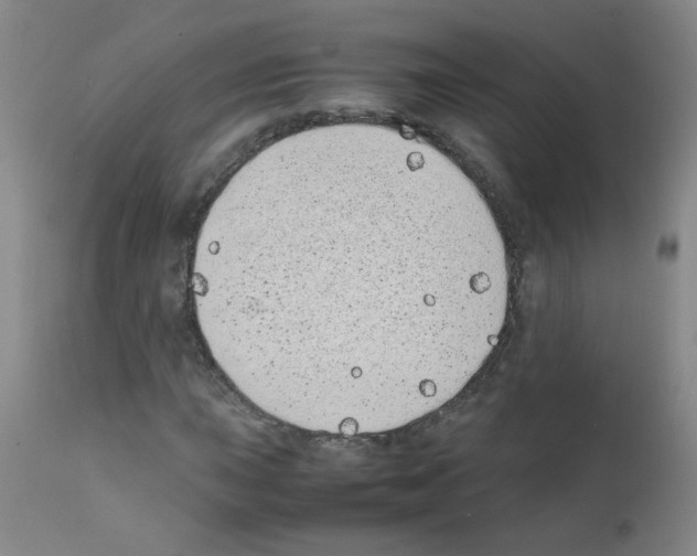 X0000111851015200909031722
