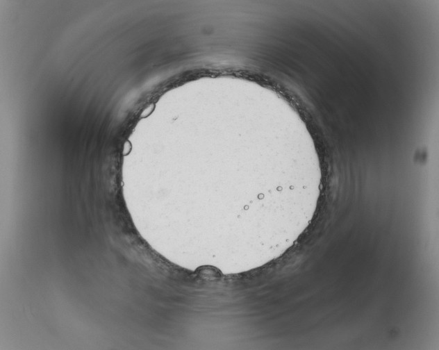 X0000111851016200909031722