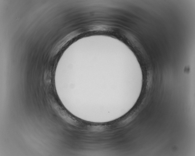 X0000111851017200909031722