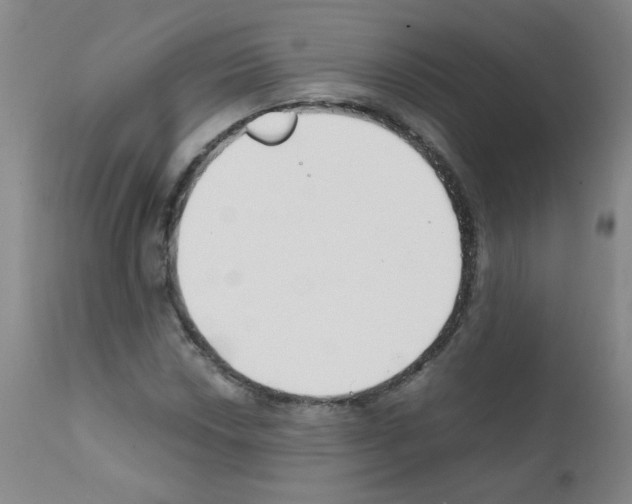 X0000111851018200909031722