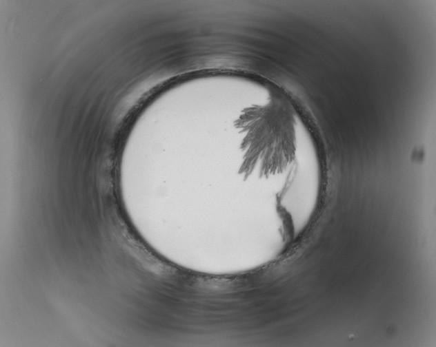 X0000111851019200909031722