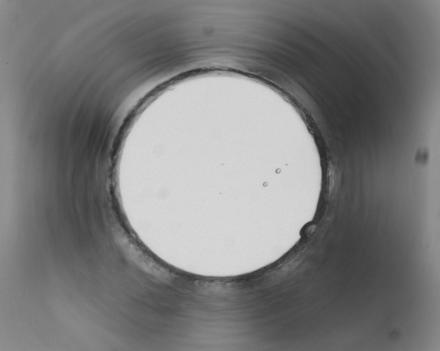 X0000111851020200909031722