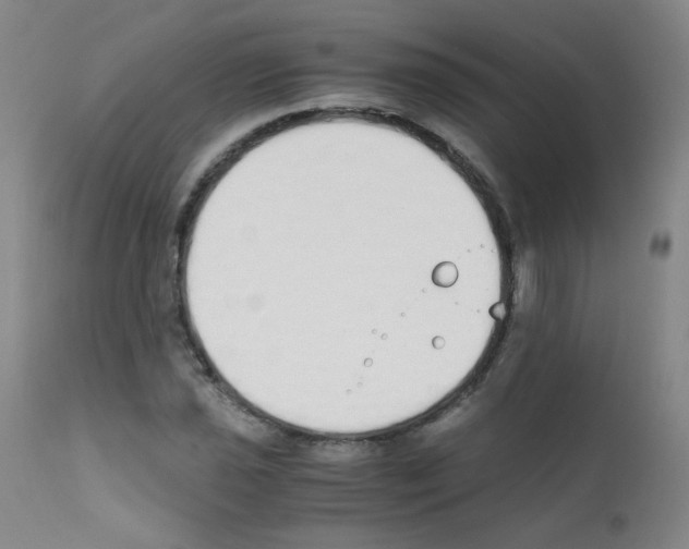X0000111851021200909031722