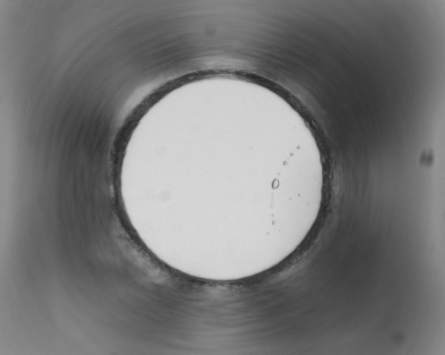 X0000111851022200909031722