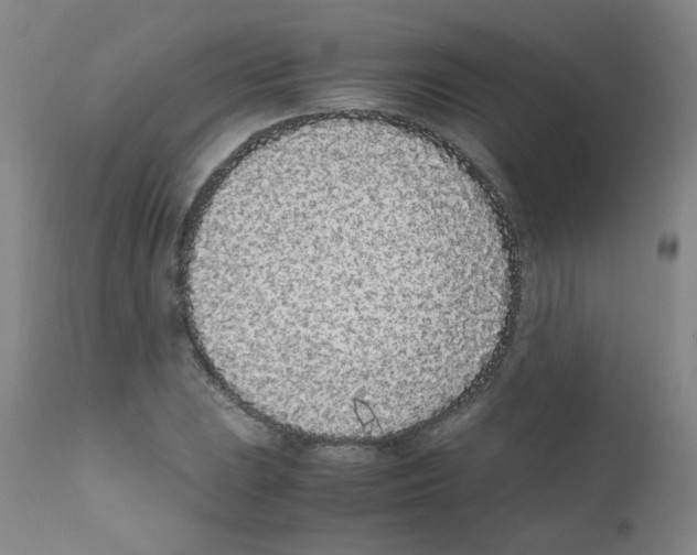 X0000111851023200909031722