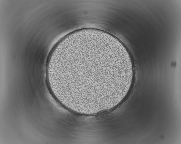 X0000111851028200909031722