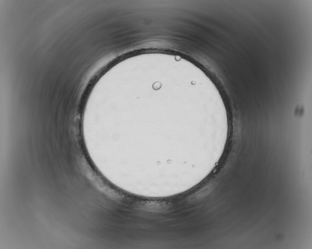 X0000111851029200909031722