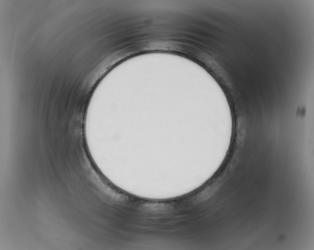 X0000111851033200909031722