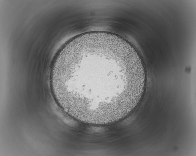 X0000111851035200909031722
