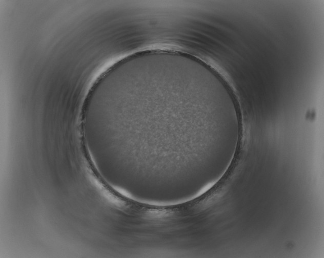 X0000111851037200909031722