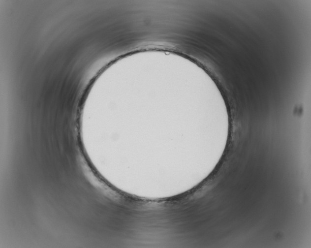 X0000111851038200909031722