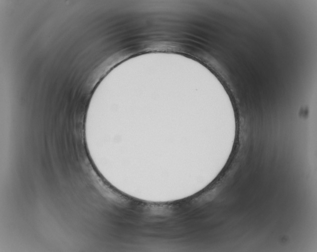 X0000111851041200909031722