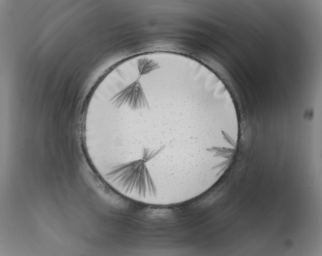 X0000111851043200909031722