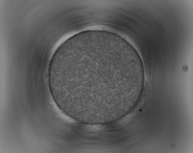 X0000111851045200909031722