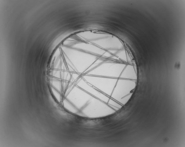 X0000111851047200909031722