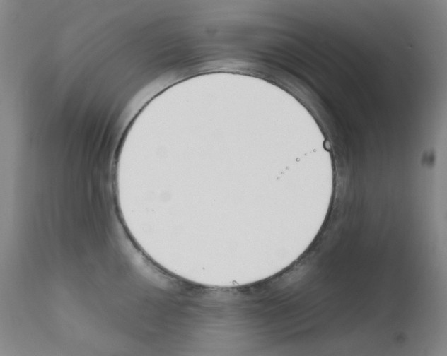 X0000111851050200909031723