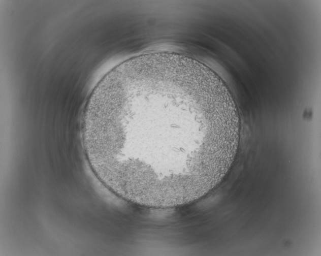 X0000111851055200909031723