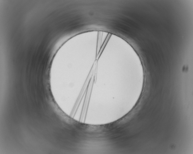X0000111851056200909031723