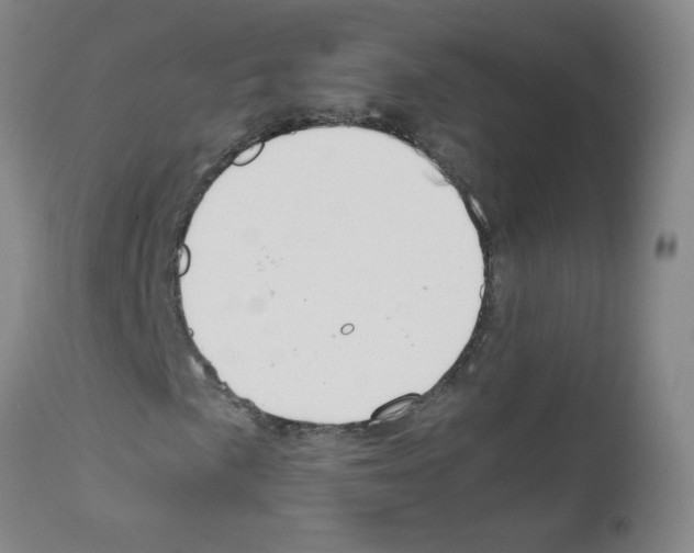 X0000111851057200909031722