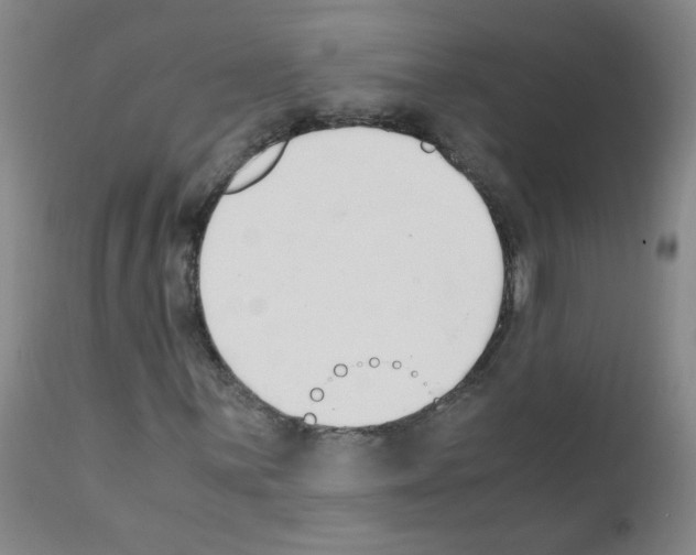 X0000111851059200909031722