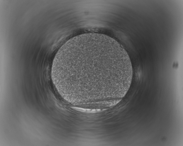 X0000111851060200909031722
