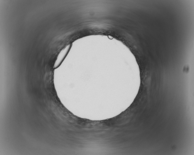 X0000111851061200909031722