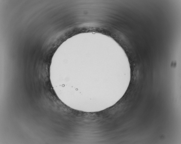 X0000111851062200909031722
