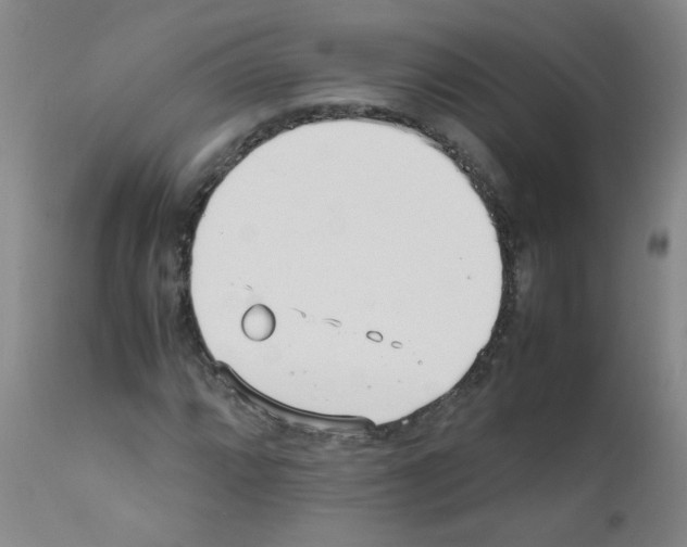 X0000111851064200909031722