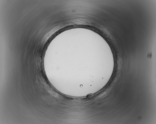 X0000111851065200909031722