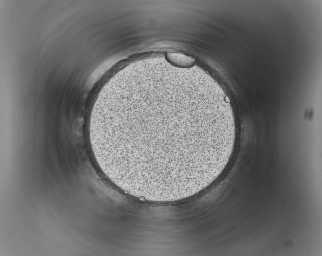 X0000111851066200909031722
