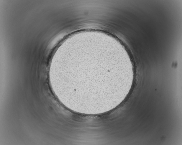 X0000111851067200909031721