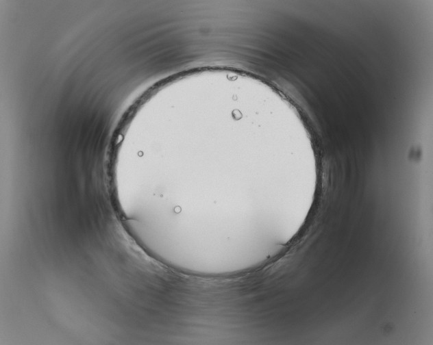 X0000111851068200909031721