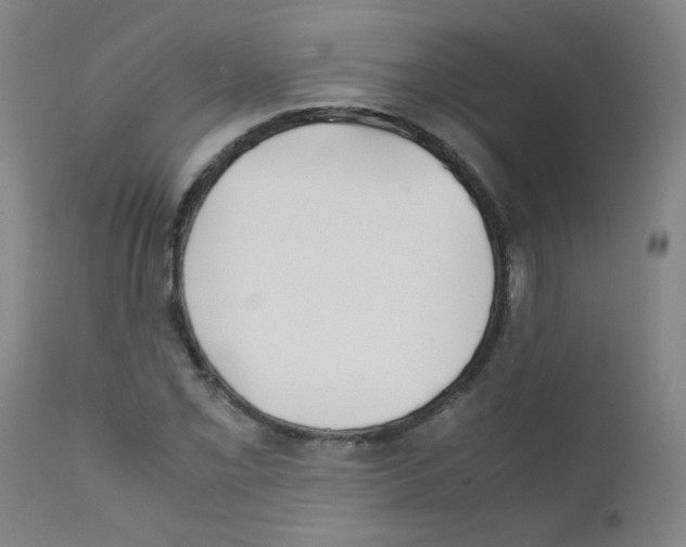 X0000111851069200909031721