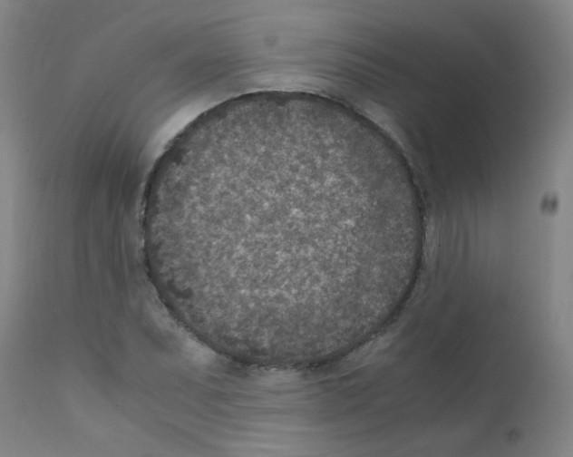 X0000111851071200909031721