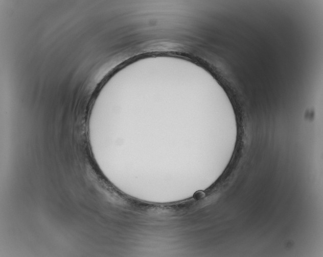 X0000111851073200909031721