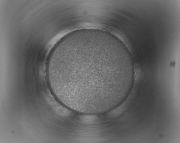X0000111851074200909031721