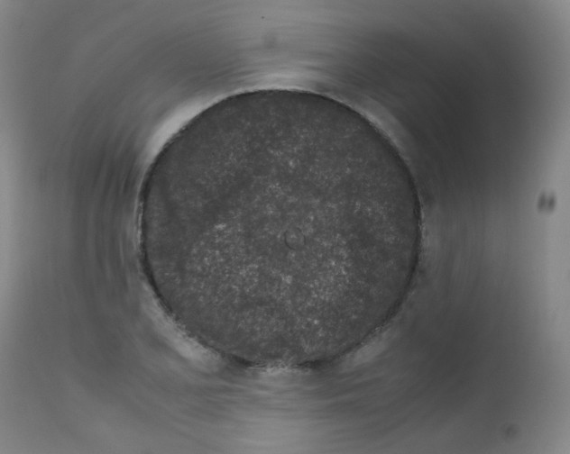 X0000111851077200909031721