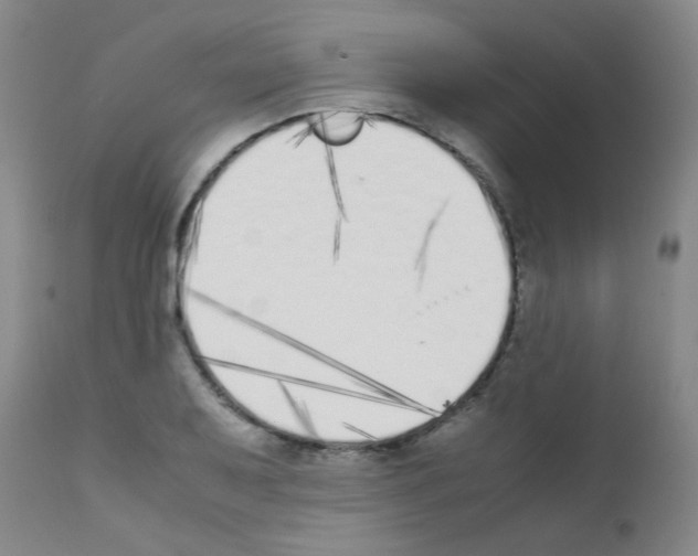 X0000111851079200909031721