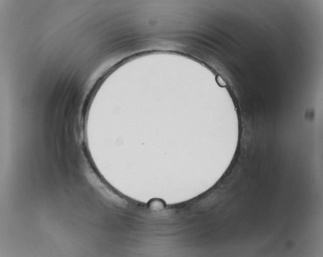 X0000111851080200909031721