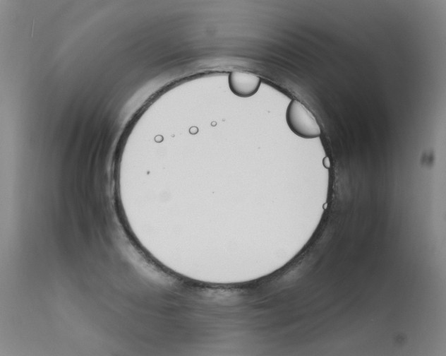 X0000111851082200909031721