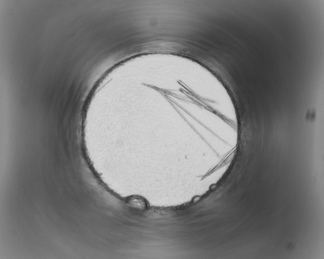 X0000111851083200909031721