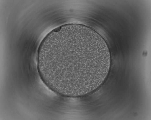 X0000111851084200909031721